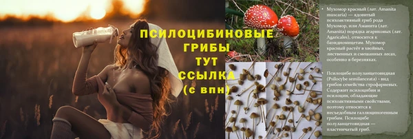 a pvp Краснотурьинск