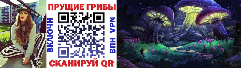 Купить  Котельниково  Галлюциногенные грибы мицелий 